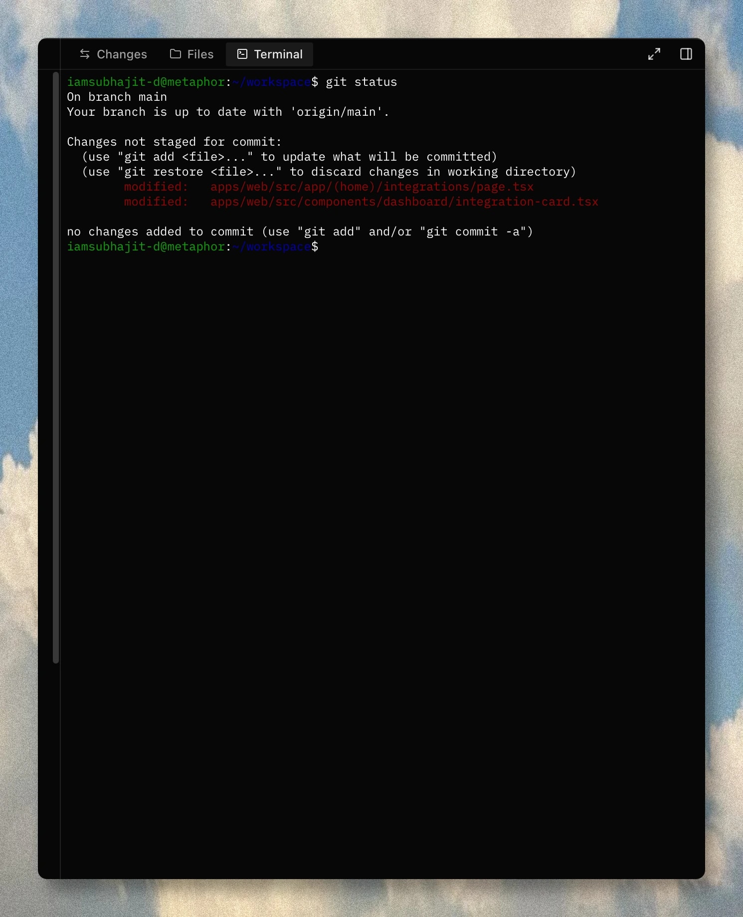 Metaphor dedicated terminal running git status inside the workspace